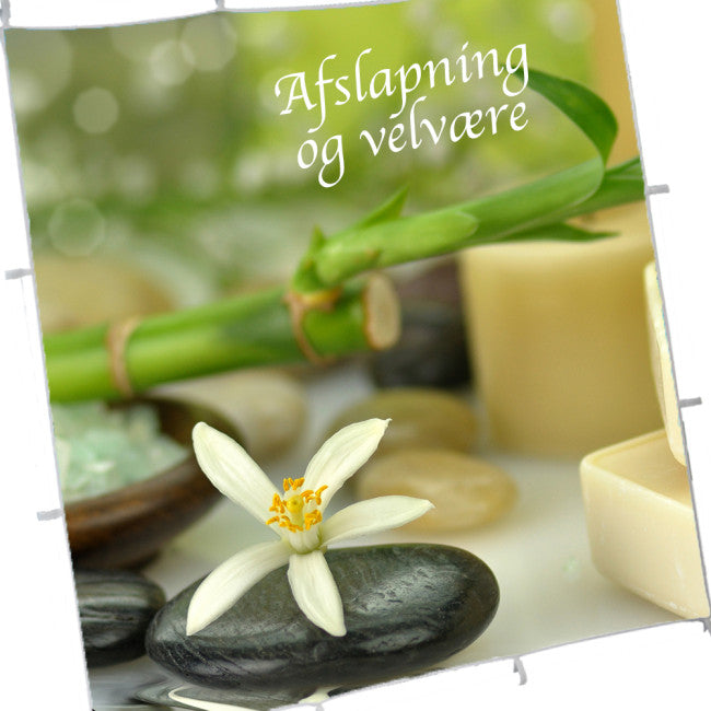 Print til Flex Wall Stand